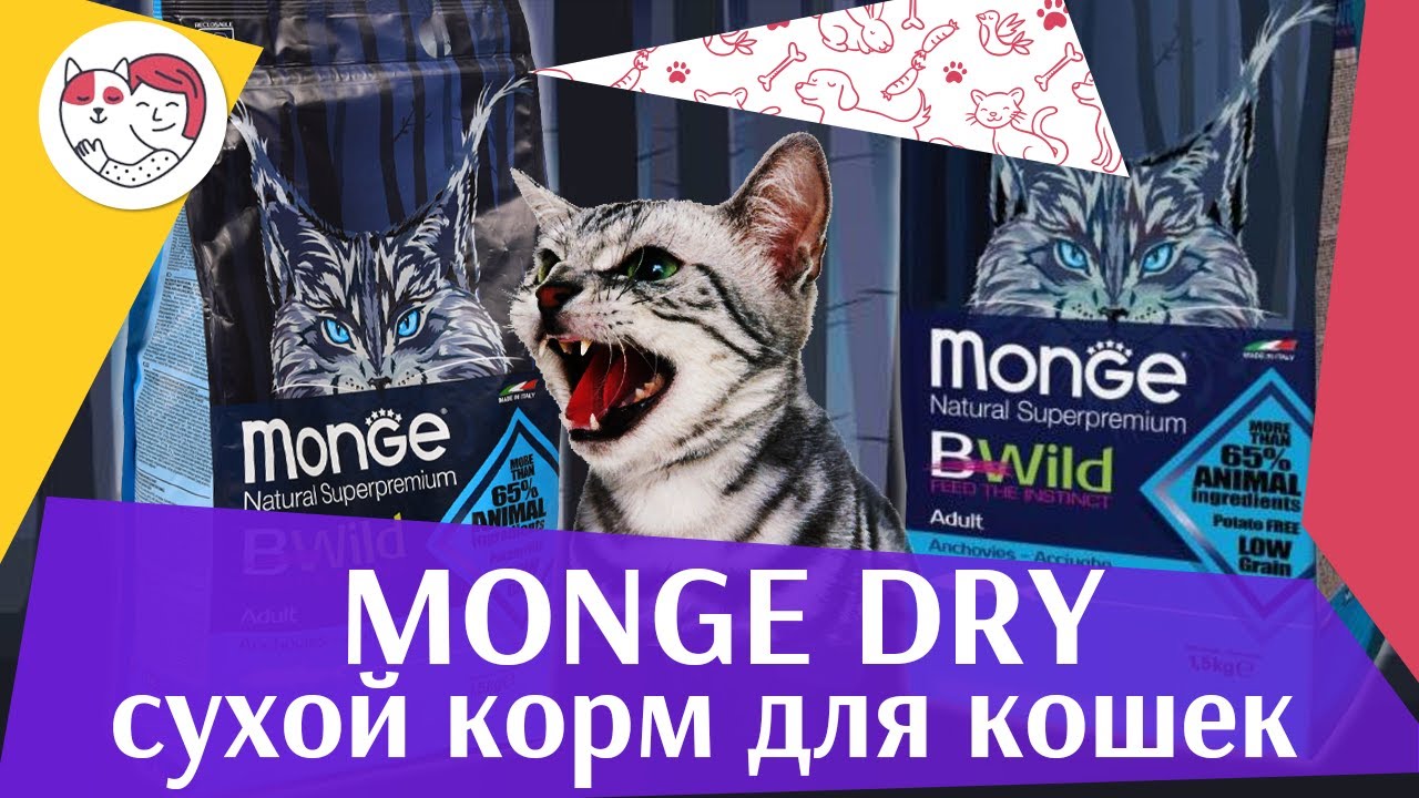 MongeDry на ilikepet