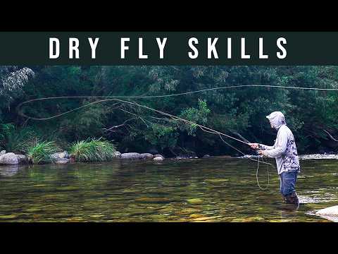 The BIG SECRET to better DRY FLY fishing