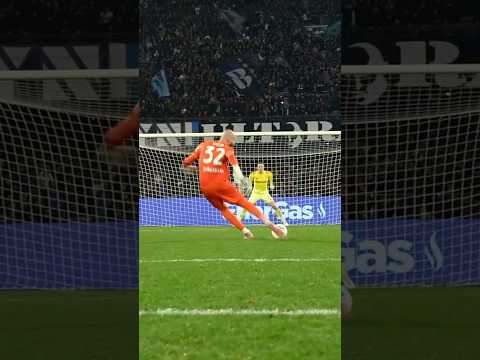 This is a crazy penalty from VANJA 🤯 #SerieA #MilinkovicSavic
