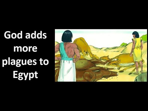 Bible study Exodus  Chapter 9  Explained