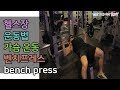 바벨운동, 가슴운동, 벤치프레스(barbell bench press)[건디ROY]