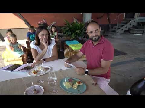 Visit Prosecco Hills - Col del Lupo