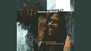 Waiting In Vain (Remix)