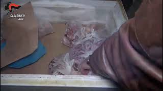 salerno-blitz-nel-centro-storico-chiusi-locali-scoperto-macello-clandestino