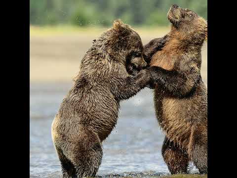 RANDOM WAYPOINTS PODCAST EP.04.06 | OVERLAND EXPO PNW 2022  | GUEST MICHAEL LADDEN  @Drive The Gl...