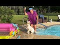 08 04 25 Georgie S Water Workout Learning To Fetch In The Pool
