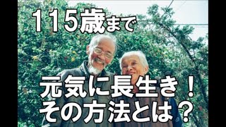 115歳まで元気に長生きできる!?その方法とは?【教典第二章 part2】【天理教の教え】