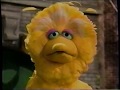 Sesame Street Where S My Bear