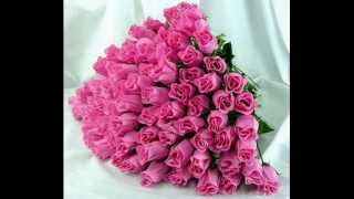 ESKİŞEHİR ÇİÇEK - NİL ÇİÇEKÇİLİK Hasan BAĞÇECİK - 0222 230 95 65 - 0553 258 87 8