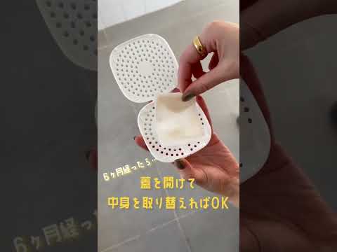  SOS: 苗にカビが発生しました!彼らを救えるでしょうか？やり方は？  庭園