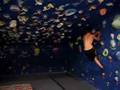 Brad and brent Superman Dyno