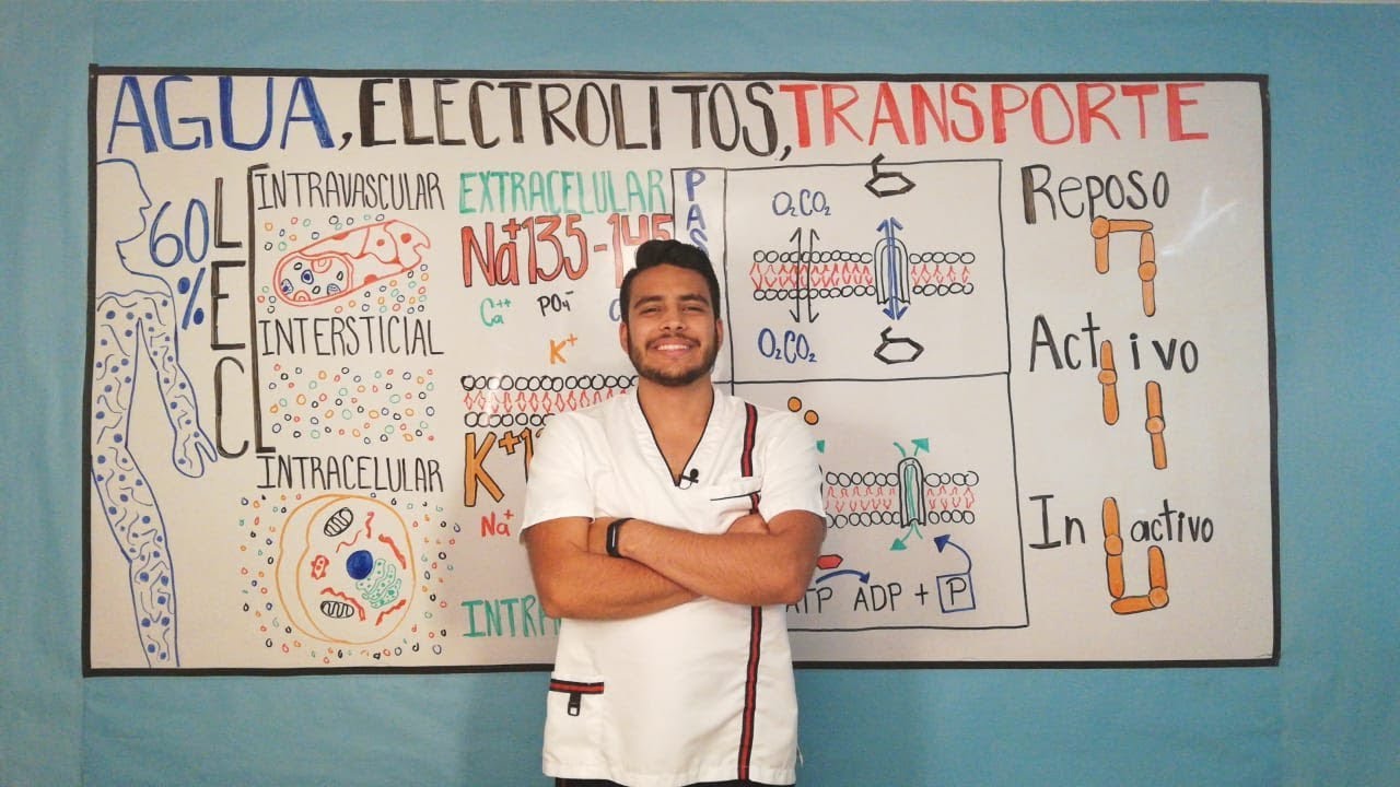 AGUA, ELECTROLITOS Y TRANSPORTE// FISIOLOGÍA// EL SEMESTROSO