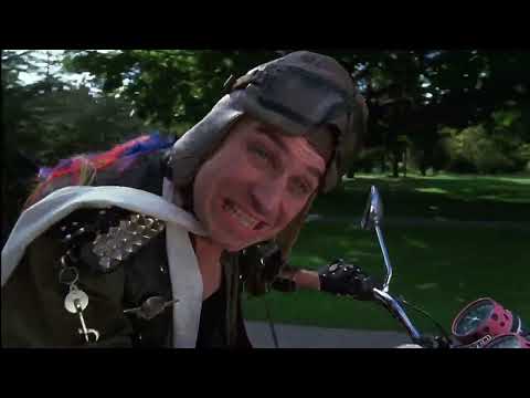 Zed - Du Sesselpuper