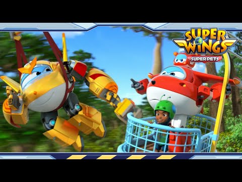 Witness21 Editor  2022 01 29