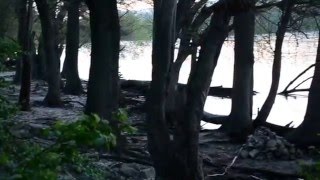 Bratislava today - 19.4.2015 / Loom of the Land