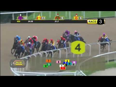 BIG HEARTED 1st  for 2 yrs old series 2019 05 19 Singapore R03