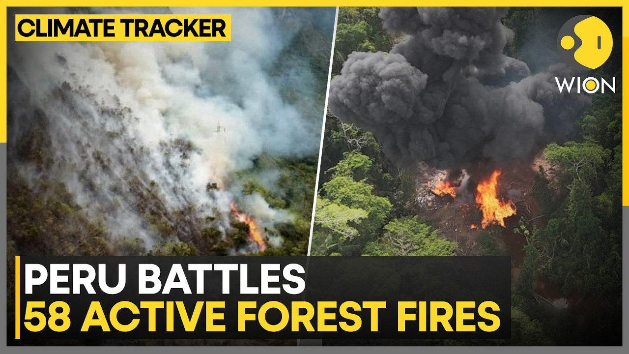 Peru Battles 58 Active Forest Fires Across The Country | WION Climate Tracker