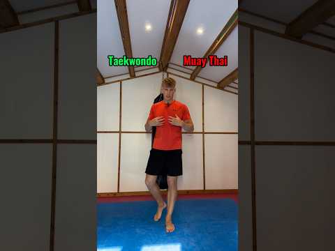Taekwondo VS Muay Thai👊which one you choosing?