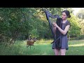 A deer turned my harp session into a Disney movie