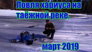 Ловля хариуса на таёжных реках