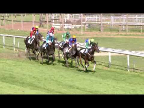 Dielsdorf/25.09.2016/35. St. Leger - St. Lager Club of Lucerne