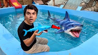 Download lagu TOY SHARK TURNED iNTO A REAL SHARK 😱 How is Possible? mp3