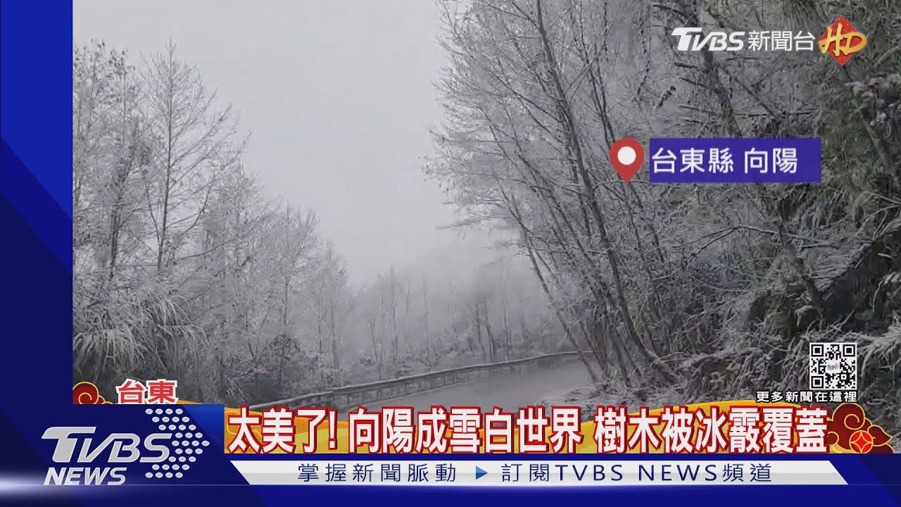 太美了！向陽成雪白世界　樹木被冰霰覆蓋