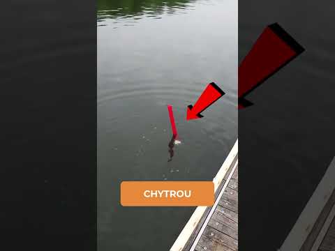 Jak zabránit utopení telefonu #shorts #zajimavosti