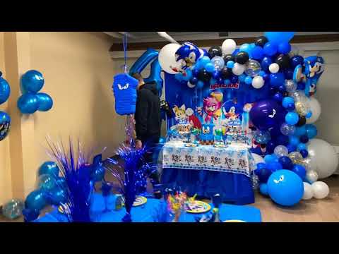 Sonic Theme Party