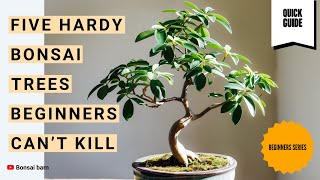 Download lagu “Five Hardy Bonsai Trees Beginners Can’t Kill.” mp3