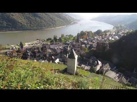 RheinBurgenWeg - Bacharach (3) (19.10.2014)