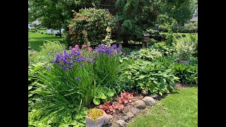Early June Garden Tour 2025