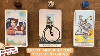 Urgent Message From Your Spirit Guides! | Timeless Reading
