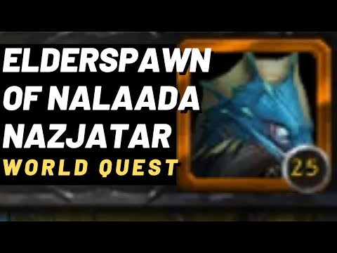 Elderspawn of Nalaada Pet Battle in Nazjatar - DON'T LET HIM SPAWN ANYMORE!