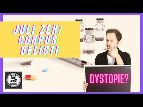 Juli Zehs "Corpus Delicti" als Dystopie