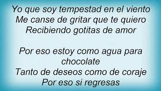 Ana Gabriel - Como Agua Para Chocolate Lyrics