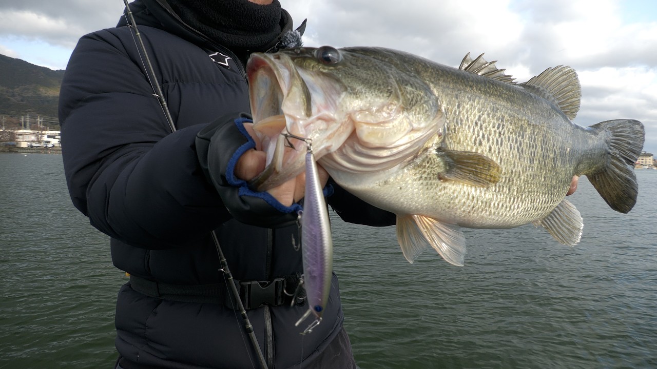 春をミノーで釣る方法。