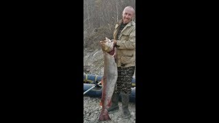 Рыбалка в амурской области реки зеева