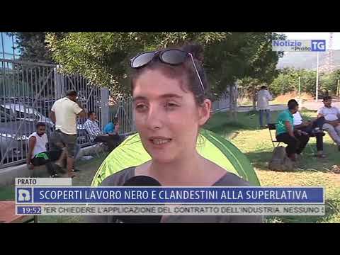 2019-07-11 NOTIZIE DI PRATO TG ORE 20.50