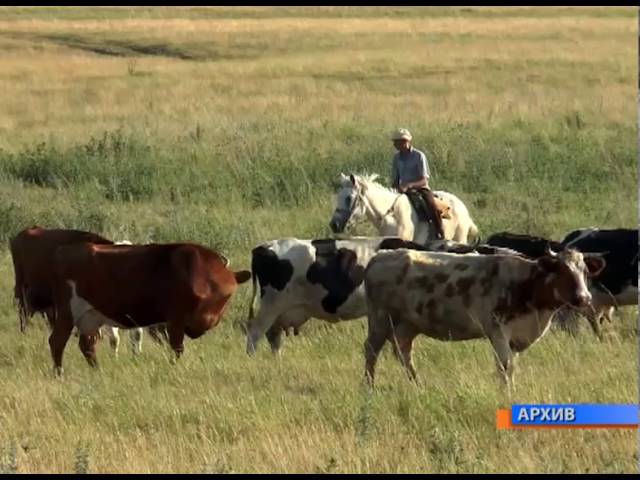 Терлекчелектә кардиналь үзгәрешләр кирәк