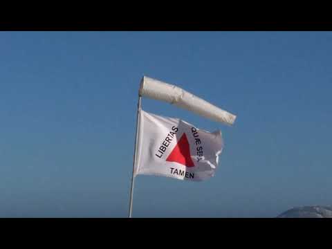 Libertas Quae Sera Tamen na biruta