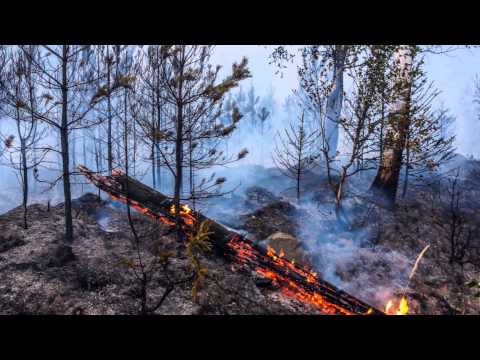 Voldsom skogbrann i Sverige