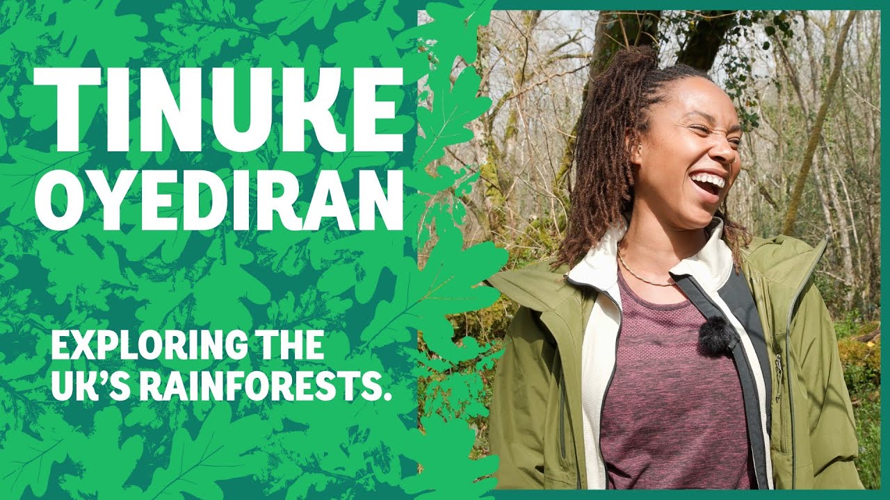 Inside Dartmoor's temperate rainforest with Tinuke Oyediran