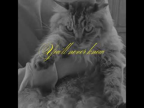 Mahi & Pandv - Sunshine