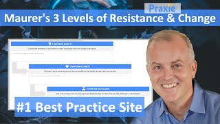 Maurer's 3 Levels of Resistance & Change
