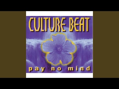 Pay No Mind (Original Radio Edit)