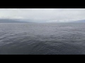 Submarine Surfacing