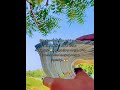 Money Panam Whatsapp Ststus Tamil Panam Panam Viral Short Kaasu Whatsapp
