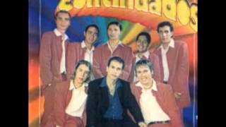 10 - A La Medida - Los Continuados - Cd La Pasion Continua