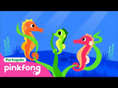 Cavalo-Marinho | Animais do Mar | Pinkfong, Bebê Tubarão! Canções para Crianças